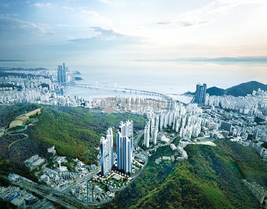 조감도