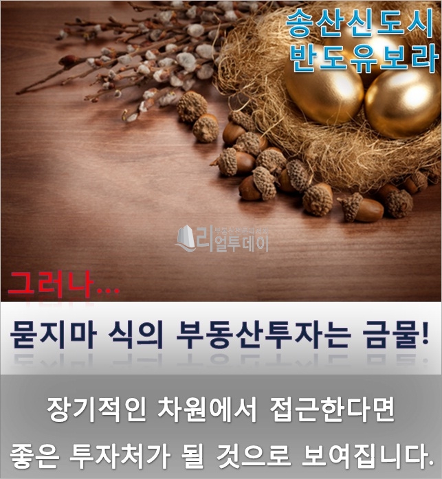 news_contimg_1436343878_15.jpg