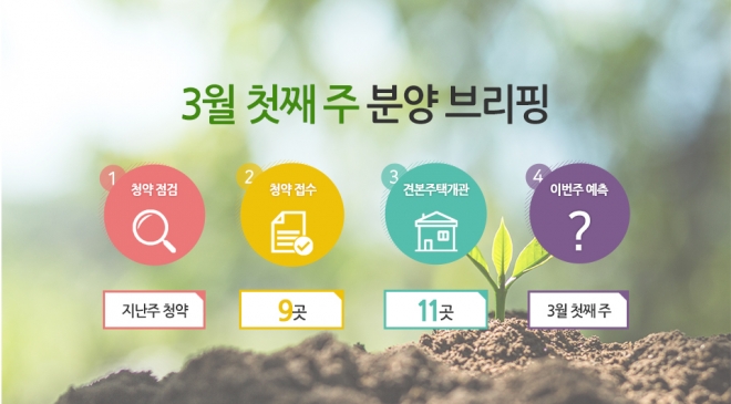 news_contimg_149438317074.jpg