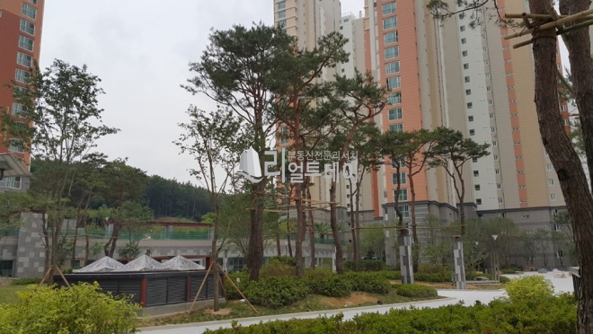 관공서